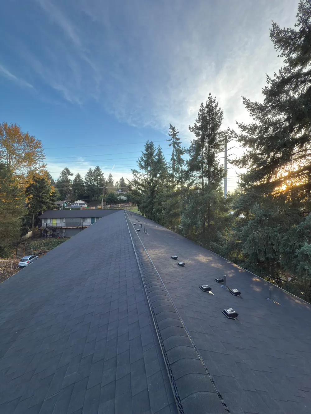 Commercial Roofing