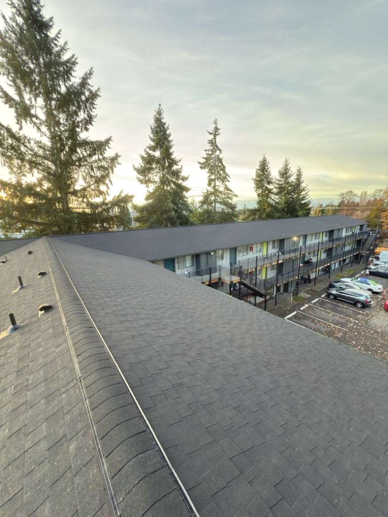 Architectural Shingle Roof