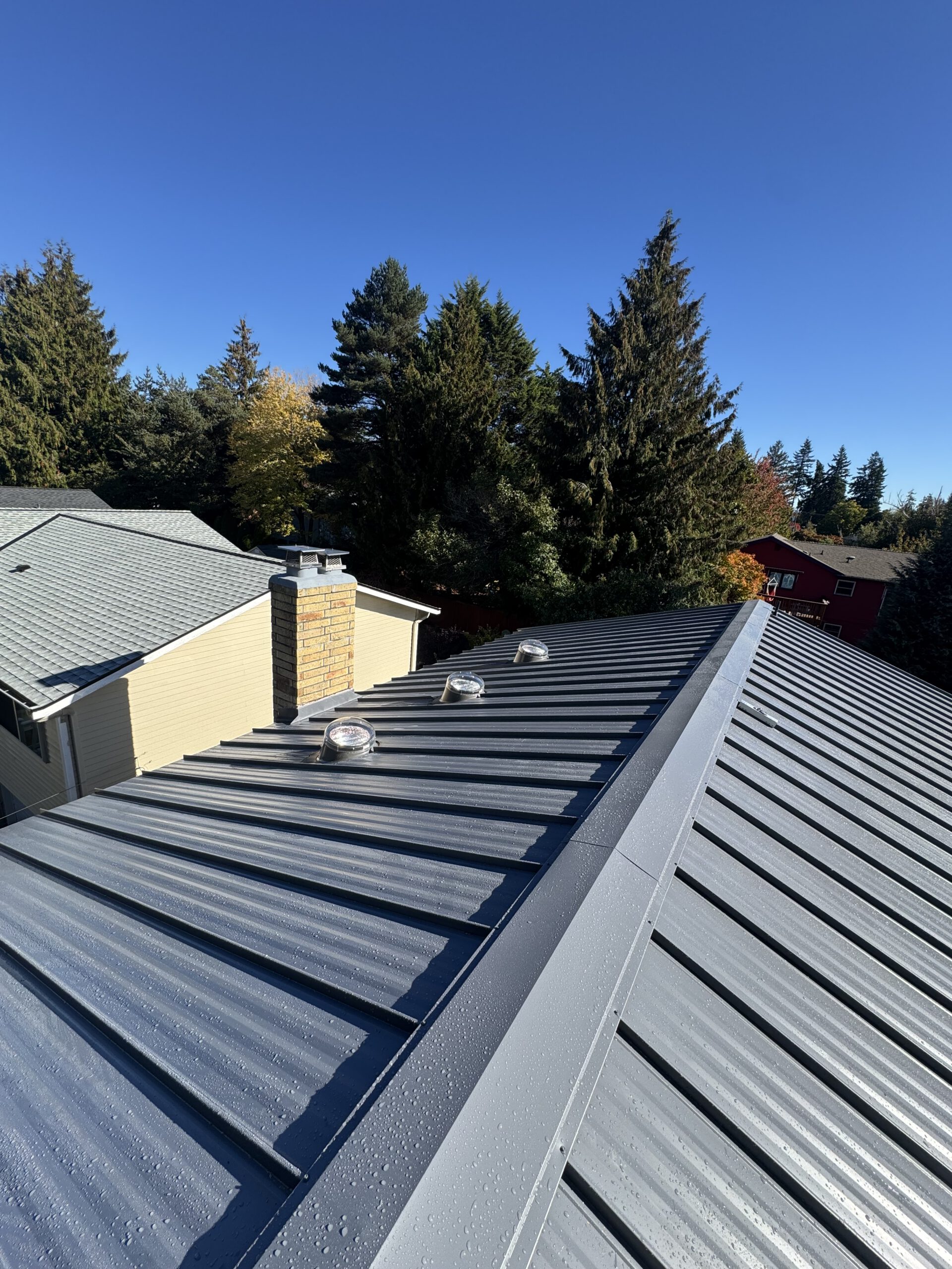 Metal Roofing Services