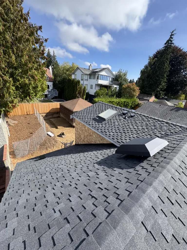 Shingle Roof Replacement