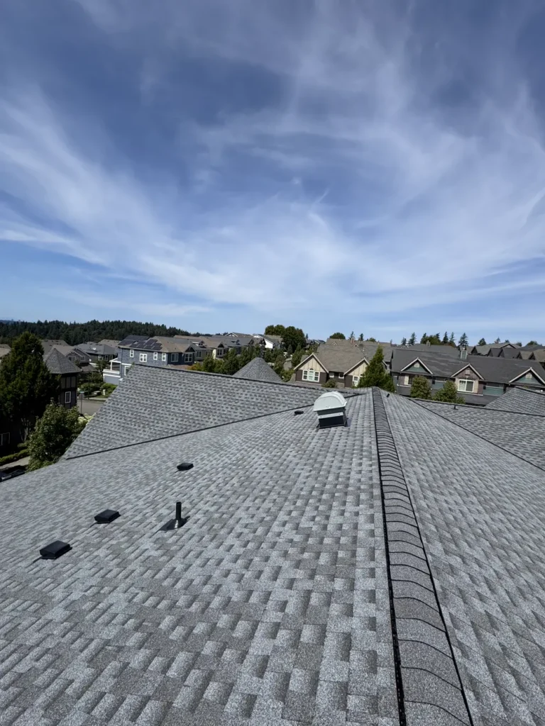 Shingle Roof Repair