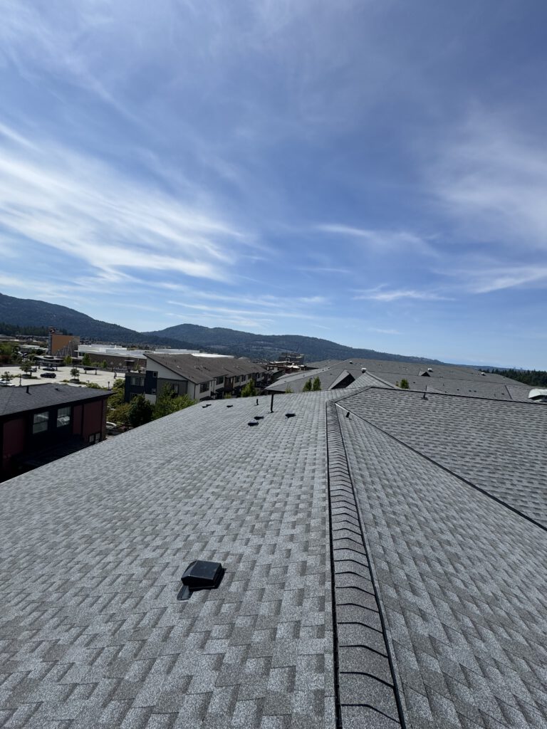 Commercial Roofing Project