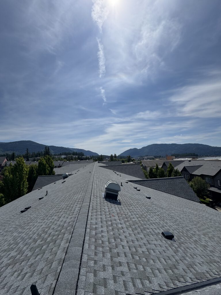 Architectural Shingle Roof