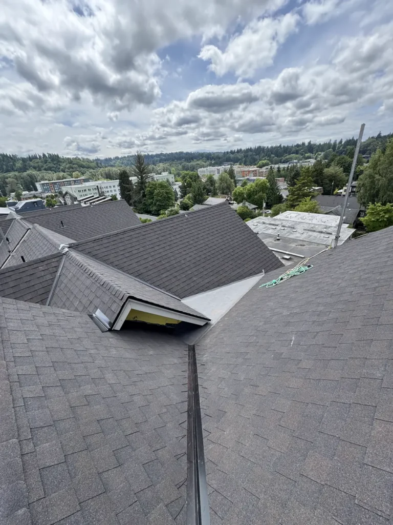 Shingle Roof Replacement