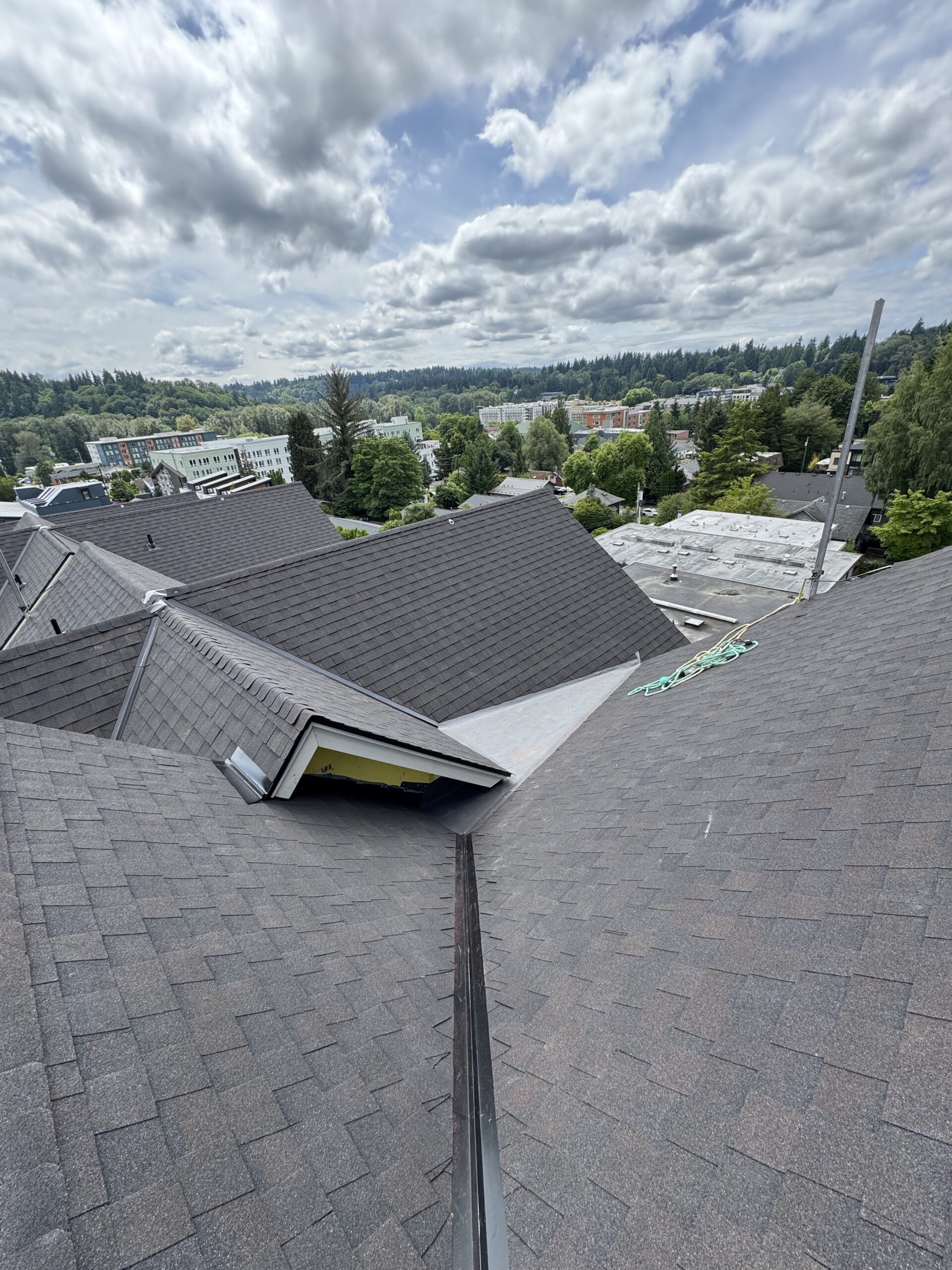 Shingle Roof Replacement